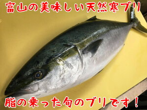 yxRp VR u (8`9kg) {zbhgOKI Ԃ肵 ƂĂ  CN il^ ̍ ܂ ӎނɍœK p ~Mtg 