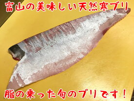 【送料無料 冬ギフト】 富山湾産 天然 寒ブリ (8〜9kg級) 4分の1 ｜刺身OK！ ぶりしゃぶ 照り焼き お取り寄せ 海鮮丼 寿司ネタ 酒の肴 おつまみ 晩酌に最適 贈答用