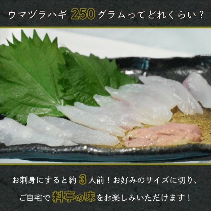 楽天市場 送料無料 富山県産天然ウマヅラハギ 肝つき 刺身用 約250g 大きめ2 3尾 カワハギ 刺身 肝 ウマヅラハギ ウマズラハギ ウマヅラ 富山湾 山本鮮魚店