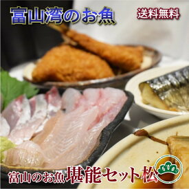 【送料無料・秋ギフト】 富山湾産 白えび入りお魚堪能セット 松(7～8種) 刺身・昆布締め・切り身│ 秋の味覚 海鮮 お取り寄せ 酒の肴 おつまみ 晩酌に最適 贈答用