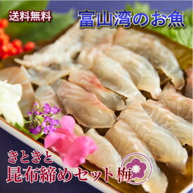 【送料無料・秋ギフト】 富山湾産 昆布締めセット 梅(4種)｜料亭の味を贈る 上品な刺身詰め合わせ