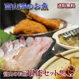 【送料無料・秋ギフト】 富山湾産 白えび入りお魚堪能セット 鶴(8～9種) 刺身・昆布締め・切り身│ 秋の味覚 海鮮 お取り寄せ 酒の肴 おつまみ 晩酌に最適 贈答用
