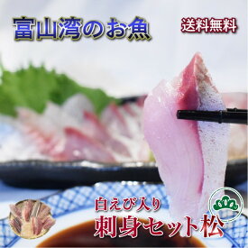 【送料無料・秋ギフト】 富山湾産 白えび入り刺身セット 松(7～8種) ｜サク取り済み 秋の味覚 お取り寄せ 海鮮丼 寿司ネタ 酒の肴 おつまみ 晩酌に最適 贈答用