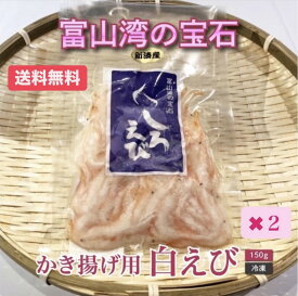 【父の日ギフト】白えび 殻付き 150g×2｜人気商品｜かき揚げ・天ぷらに最適｜サクサク香ばしい｜富山湾産｜冷凍 送料無料