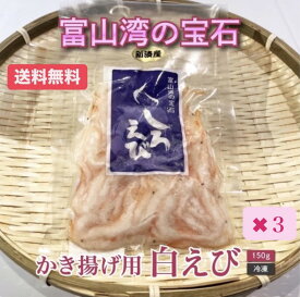 【父の日ギフト】白えび 殻付き 150g×3｜人気商品｜まとめ買い｜かき揚げ・天ぷらに最適｜サクサク香ばしい｜富山湾産｜冷凍 送料無料