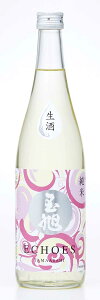 玉旭 ECHOES 酒母搾り 純米生原酒 720ml【日本酒 富山 地酒 純米酒 原酒 生酒 八尾 玉旭酒造】