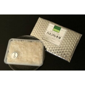 xR̖ @(ނg)[Ⓚ]y 蕨 k xR xRp yY CY hg 낦   V[t[h 䈥A Mtg z