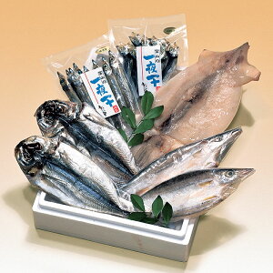 X@{CY銱l(A)[Ⓚ]yhV̓ 蕨 k xR yY Ђ  CN V[t[h  䈥A Mtg z