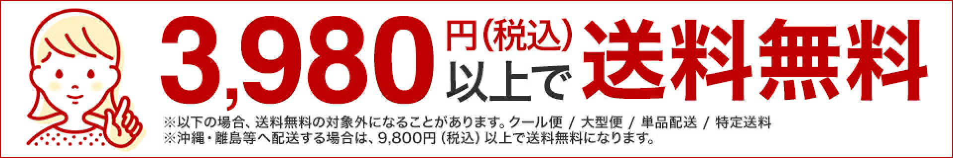 3,980円以上で送料無料