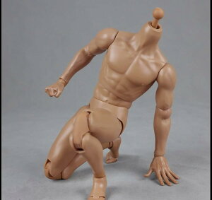 [COOMODEL COO BD003] 1/6 �t�B�M���A �p �j���f�� �A�N�V�����{�f�B