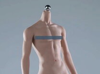 楽天市場】1／6 男性 シームレス 素体の通販