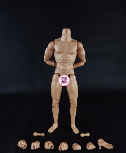�������� �z�r�[ [TOYBARJAPAN] 1/6 �A�N�V�����t�B�M���A COOMODEL COO BD001/02/03/04/07/08/09/10 �j���f�� �A�N�V�����{�f�B (�ؓ��̌^BD009)