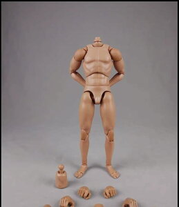 �������� �z�r�[ [TOYBARJAPAN] 1/6 �A�N�V�����t�B�M���A COOMODEL COO BD001/02/03/04/07/08/09/10 �j���f�� �A�N�V�����{�f�B (�W���̌^BD001)