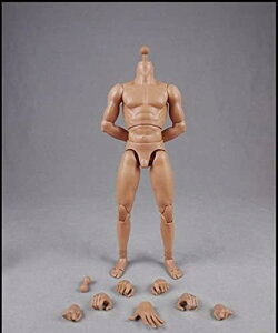 �������� �z�r�[ [TOYBARJAPAN] 1/6 �A�N�V�����t�B�M���A COOMODEL COO BD001/02/03/04/07/08/09/10 �j���f�� �A�N�V�����{�f�B (�ؓ��̌^BD003)