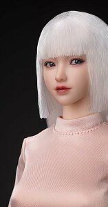 [i8TOYS I8-H005 ]1/6�X�P�[���t�B�M���A�p ZOE���W���j�A������ �A�N�V�����A�C �A�W�A�����l�����w�b�h(�f�̂ƕ��͕ʔ�) (D)