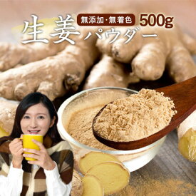 ジンジャーパウダー500g　ショウガオール 蒸し生姜　しょうがパウダー 粉末　ぽかぽかサポートにジンジャーパワー生姜！