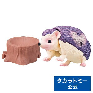 ���i�摜