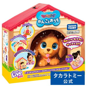 y|Cg15{FX[p[SALEz }WJDIY 񂱂Ƃ | ^Jg~[  ǂ q Mtg