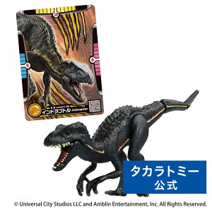 y|Cg15{F}\Ԍz AjA WVbNE[h Chvg(AjAogJ[ht) | ^Jg~[  ǂ q    Mtg