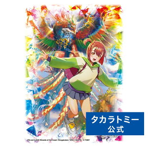 fGE}X^[Y DXJ[hX[u ̓NG[T[EuGNXpW | ^Jg~[ fG}X^[Y fG} J[h X[u