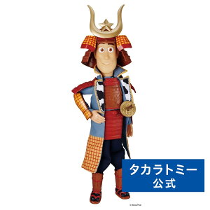 gCEXg[[ 30N ATCYg[LOtBMA EbfB KABUTO ver. | ^Jg~[ gCXg[[  ǂ q w Mtg