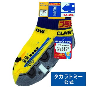 v[ hN^[CG[ C \bNX 15-20cm  { | ^Jg~[ v[ d V  蕨  ǂ q Mtg