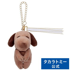 s[ibc Cacao 肳 obO`[ Xk[s[(r^[) | ^Jg~[  ǂ q w Mtg