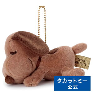 s[ibc Cacao ₷th {[`F[}XRbg Xk[s[(r^[) | ^Jg~[  ǂ q w Mtg