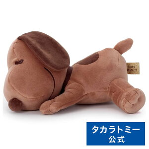 s[ibc Cacao ₷th ʂS Xk[s[(r^[) | ^Jg~[  ǂ q w Mtg