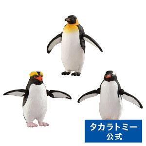 AjA AL|36 yM(ɕVer.) | ^Jg~[ AjA  ǂ q    Mtg