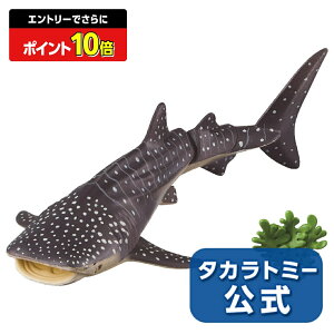 yGg[łɃ|Cg10{FX[p[SALEzAjAAL-05WxGU(ɕVer.) | ^Jg~[ AjA  ǂ q    Mtg v[g