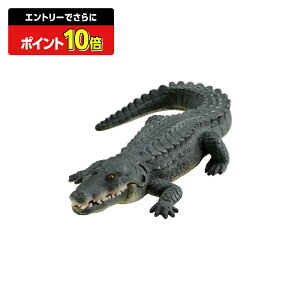 y|Cg15{FX[p[SALEz AjAAS-08iCj^Jg~[ | ^Jg~[ AjA  ǂ q    Mtg v[g