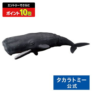 yGg[łɃ|Cg10{FX[p[SALEzAjA AL|34 }bRENW(ɕVer.) | ^Jg~[  ǂ q    Mtg