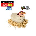 【2025年12月中旬お届け】うまれて!ウーモ ジュラシック・ワールド T-レックスエッグ | タカラトミー ウーモ ジュラシ…