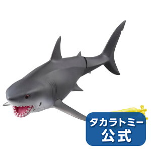 ���i�摜