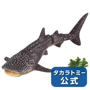 AjAAL-05WxGU(ɕVer.) | ^Jg~[ AjA  ǂ q    Mtg v[g