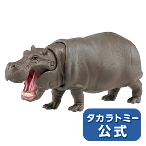 y|Cg15{FX[p[SALEz AjAAS-06Jo(ɕVer.) | ^Jg~[ AjA  ǂ q    Mtg v[g