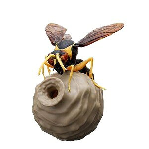 yPiF~JhgbNo`z̑}Ӂ@Ƃ΂