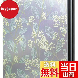 yzQualsen KXډBtB  ߂V[gKX ډBV[gKXtB ډB V[gXehOX V[ œ\Ă͂ O猩Ȃ UVJbg 