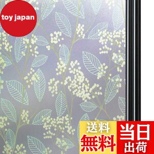 yzQualsen KXډBtB  ߂V[gKX ډBV[gKXtB ډB V[gXehOX V[ œ\Ă͂ O猩Ȃ UVJbg 