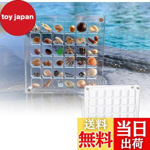 【送料無料】siawadeky 貝殻 ディスプレイ ボックス 2個セット 全透明 マグネット式 ミニ貝殻ボックス 防水 防塵 アクリル製 シェル収納ケース 巻貝 ヒトデ ネイル ビーズ 小物入れ 磁気ケース