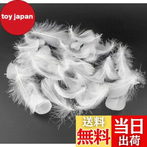 yzKingsie VR H 100Zbg tFU[V[ HV[ |f  EGfBO o (zCg)