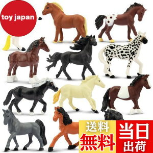 yzTOYMANY tBMA ~jntBMA ~jtBMAZbg AȓtBMA 12PCS nu nf z[X q_ ~jf lC  ߋ a