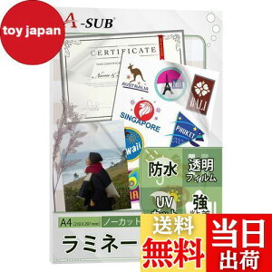 yzA-SUB ~l[gV[ 10 Jo[tBV[ یV[ S \ NA  h UVJbg A4