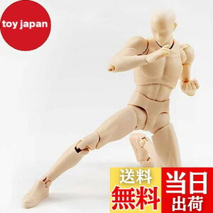 yzfbTf fbTl`f̖ jG}lLtBMAf ffbT fl`1/12  X^ht h[^Cv f ޗKp (jAF)