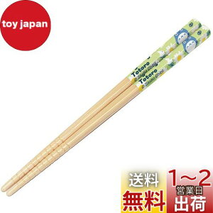 yzXP[^[(Skater)  | 16.5cm gg fCW[ Wu { ANT2