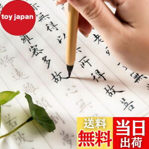 yzʎSo ʌopZbg(20ʌo{My) 蕶Xy[Xt Ȃ菑 {t 傫TCY67cm×35cm s[?5cm