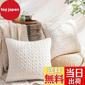 yzPhantoscope NbVJo[ xxbgv[c k 2  e͐ LeBO \t@w   n2WAY zCg 45×45cm