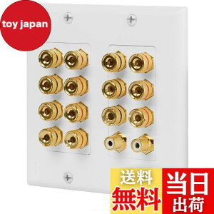 【送料無料】Fosmon ホームシアタースピーカー壁プレートコンセント オーディオ分配コンセントパネル銅 バナナプラグバインディングポスト スピーカーサウンドオーディオコネクタ挿入ジャ