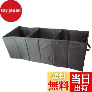 yz{tH[(BONFORM) ԗp[{bNX [eBeB y/ʎ [ 30x90cm 7488-09